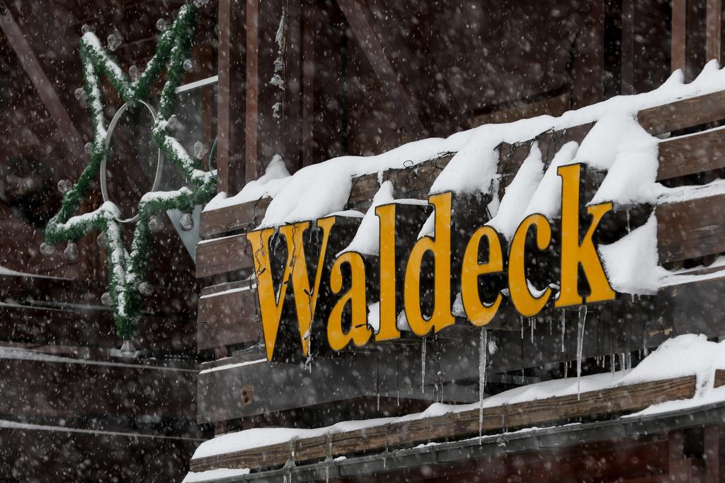 Gaestehaus Waldeck 티티제-노이슈타트 외부 사진